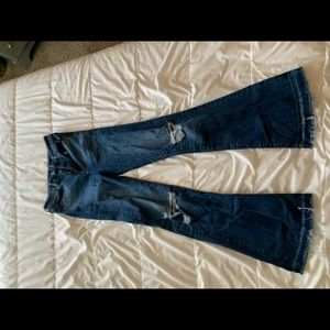 American eagle flares